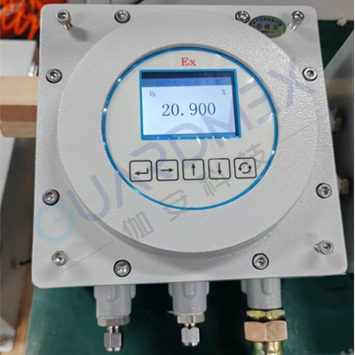 防爆氧含量在线分析系统
